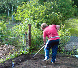 Garten2310x1