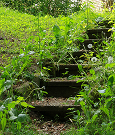 WGWStufenGarten230x270