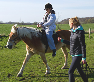 Pferd1310x270