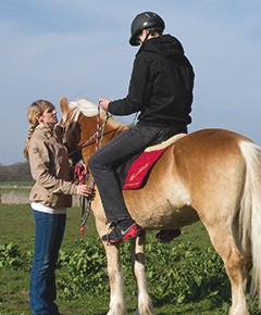 Pferd1240x290